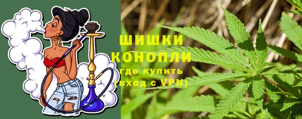 тгк Магас